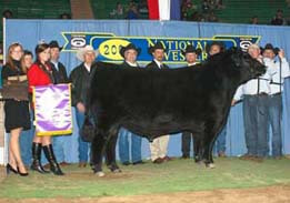 Grand Champion Bull EXAR Titlelist T011 